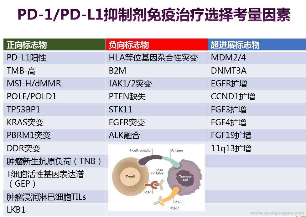 图片11.jpg