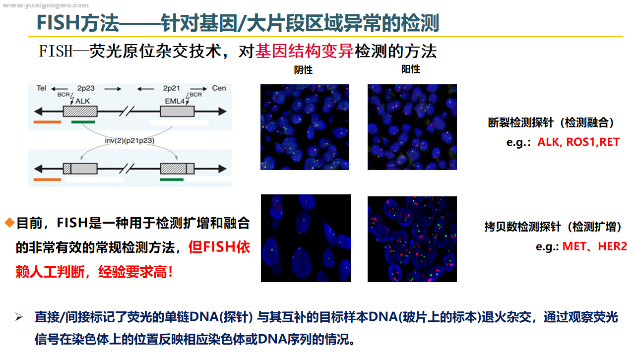 微信图片_20230908234355.png