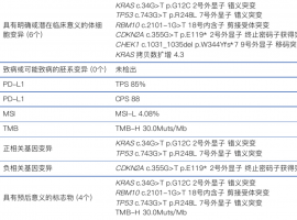 肺腺癌3B KRAS12C/TP53共突变 TPS85% 但伴有CDKN2A负向指标 请问免疫治疗会获益吗？