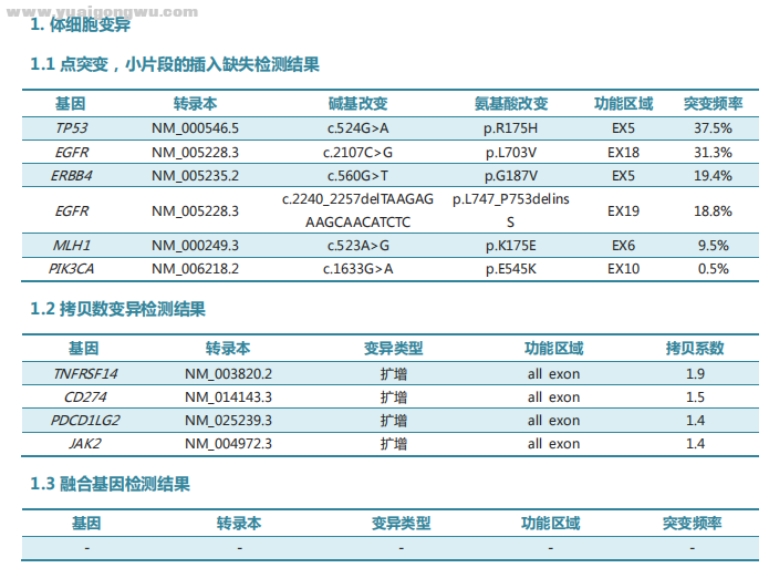 达可替尼靶向11个月后基因检测