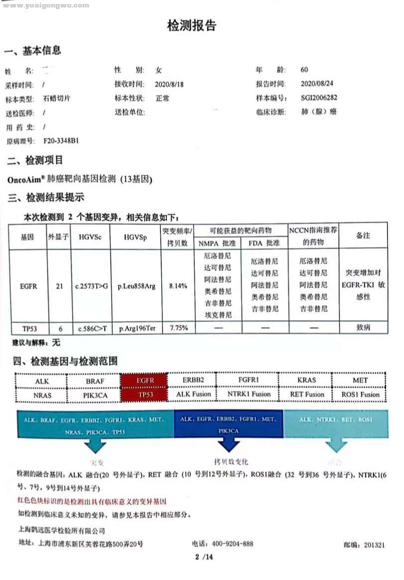 基因檢測報告